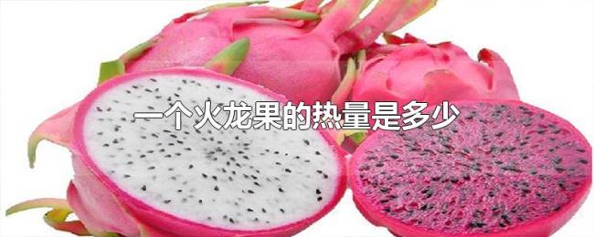 一个火龙果的热量是多少