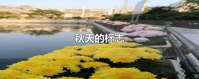 秋天的标志 秋天的标志