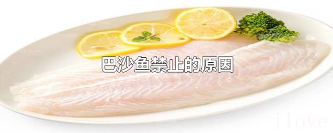 巴沙鱼禁止的原因 巴沙鱼禁止的原因