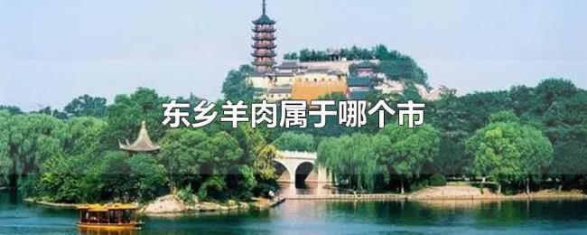 东乡羊肉属于哪个市 东乡羊肉属于哪个市