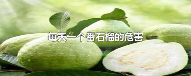每天一个番石榴的危害 每天一个番石榴的危害
