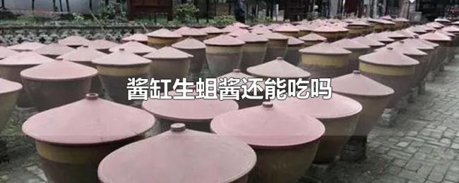 酱缸生蛆酱还能吃吗 酱缸生蛆酱还能吃吗