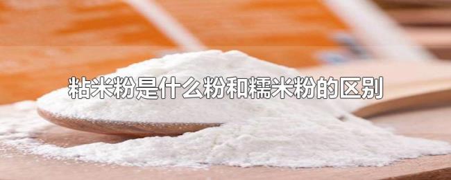 粘米粉是什么粉和糯米粉的区别 粘米粉是什么粉和糯米粉的区别