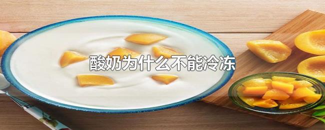 酸奶为什么不能冷冻 酸奶为什么不能冷冻