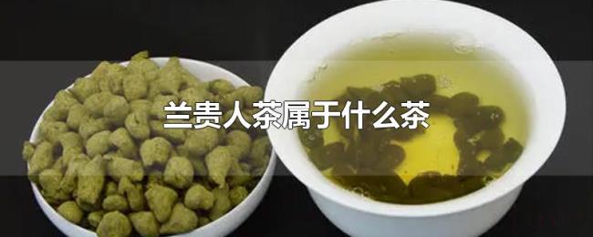 兰贵人茶属于什么茶 兰贵人茶属于什么茶