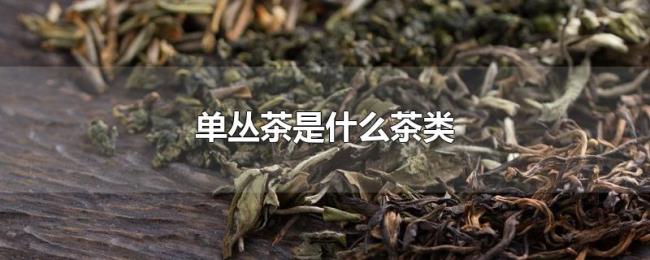 单丛茶是什么茶类 单丛茶是什么茶类