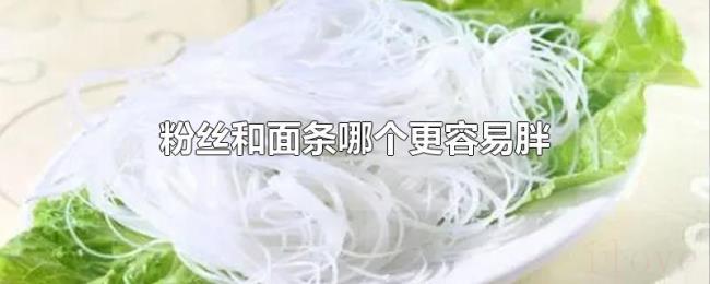 粉丝和面条哪个更容易胖
