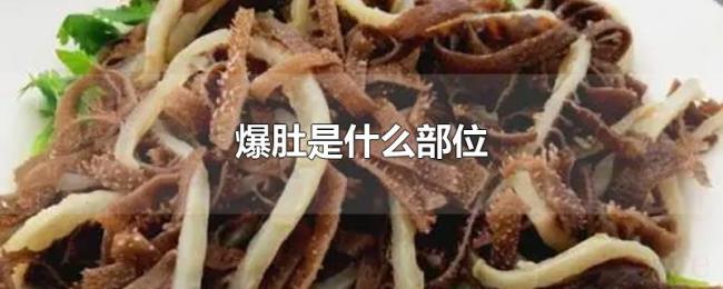 爆肚是什么部位 爆肚是什么部位