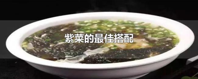 紫菜的最佳搭配 紫菜的最佳搭配
