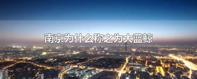 南京为什么称之为大蓝鲸
