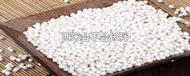西米会不会长胖
