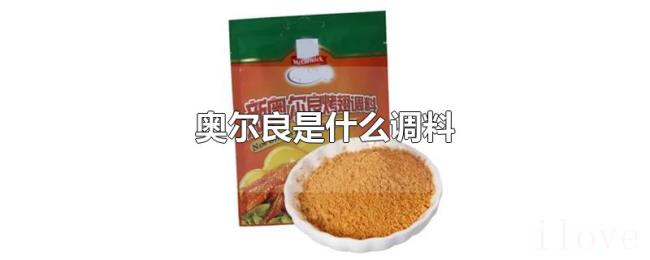 奥尔良是什么调料