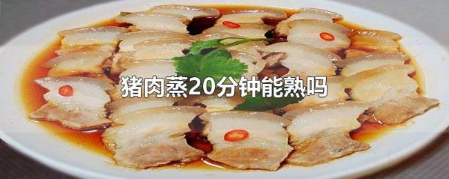 猪肉蒸20分钟能熟吗 猪肉蒸20分钟能熟吗