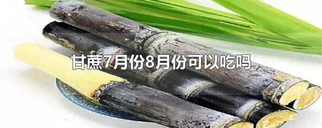 甘蔗7月份8月份可以吃吗