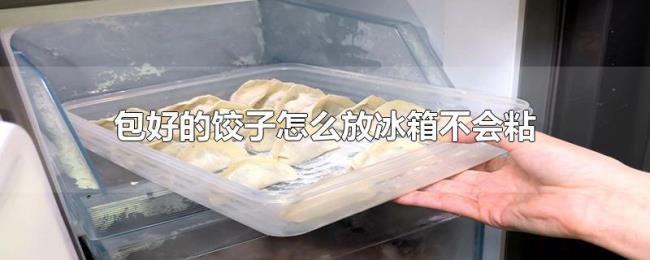 包好的饺子怎么放冰箱不会粘 包好的饺子怎么放冰箱不会粘