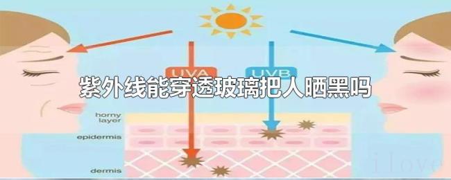紫外线能穿透玻璃把人晒黑吗 紫外线能穿透玻璃把人晒黑吗