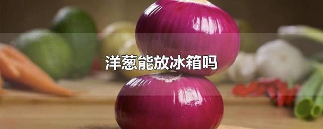 洋葱能放冰箱吗 洋葱能放冰箱吗