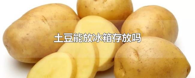 土豆能放冰箱存放吗 土豆能放冰箱存放吗