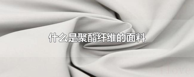 什么是聚酯纤维的面料 什么是聚酯纤维的面料