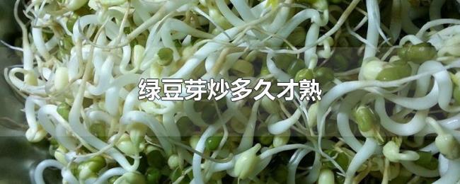 绿豆芽炒多久才熟 绿豆芽炒多久才熟