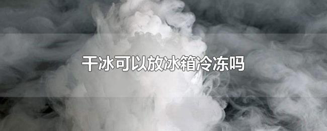 干冰可以放冰箱冷冻吗