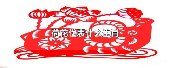 荷花代表什么生肖 荷花代表什么生肖
