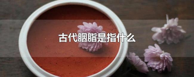 古代胭脂是指什么 古代胭脂是指什么