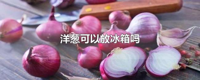 洋葱可以放冰箱吗 洋葱可以放冰箱吗