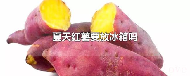 夏天红薯要放冰箱吗 夏天红薯要放冰箱吗