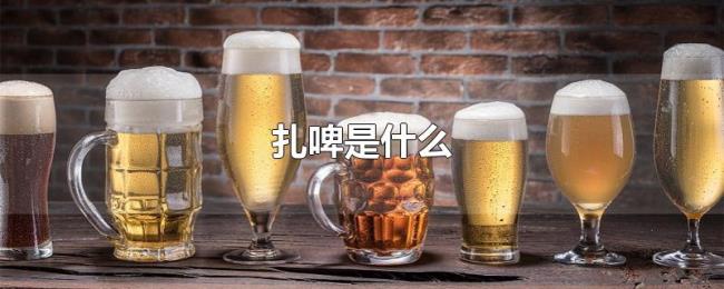 扎啤是什么 扎啤是什么
