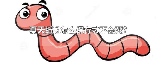 夏天蚯蚓怎么保存才不会死? 夏天蚯蚓怎么保存才不会死?