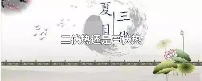 二伏热还是三伏热 二伏热还是三伏热