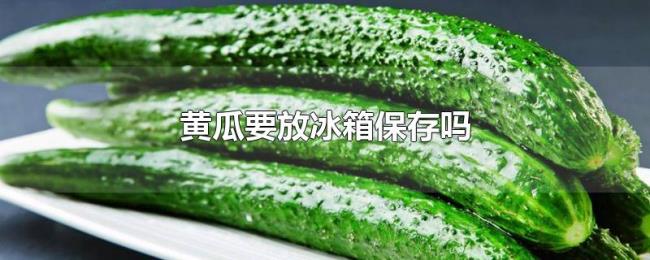 黄瓜要放冰箱保存吗