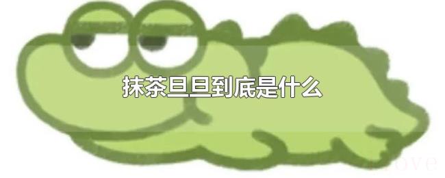 抹茶旦旦到底是什么