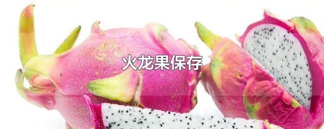 火龙果保存 火龙果保存