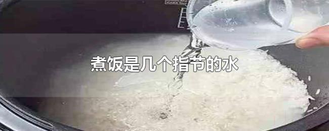 煮饭是几个指节的水 煮饭是几个指节的水