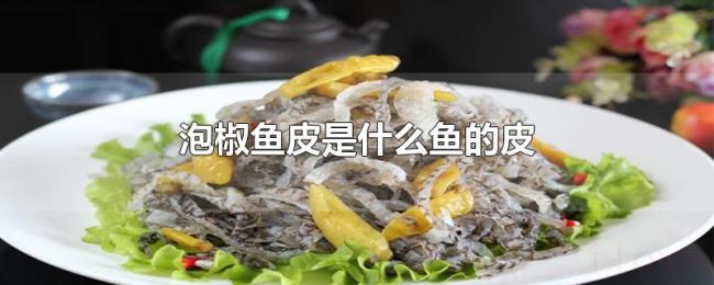 泡椒鱼皮是什么鱼的皮 泡椒鱼皮是什么鱼的皮
