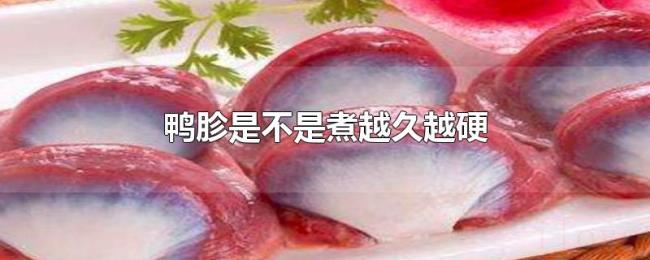 鸭胗是不是煮越久越硬 鸭胗是不是煮越久越硬
