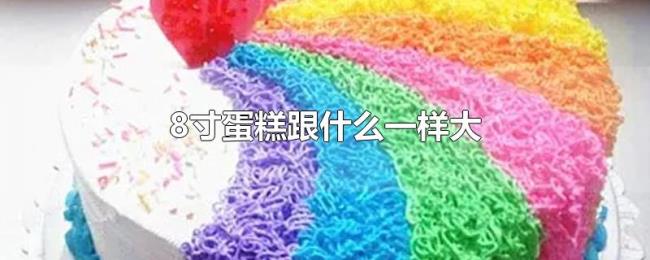 8寸蛋糕跟什么一样大 8寸蛋糕跟什么一样大