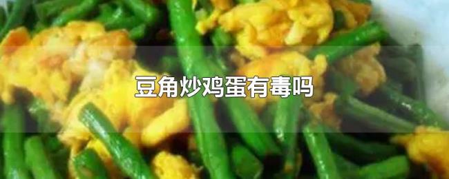 豆角炒鸡蛋有毒吗