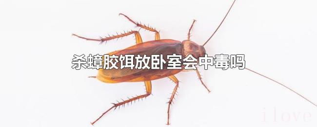 杀蟑胶饵放卧室会中毒吗 杀蟑胶饵放卧室会中毒吗