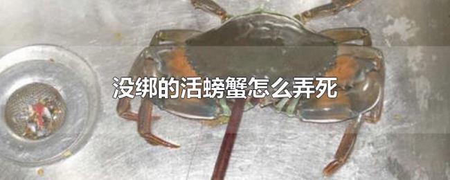 没绑的活螃蟹怎么弄死