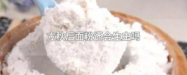 立秋后面粉还会生虫吗 立秋后面粉还会生虫吗
