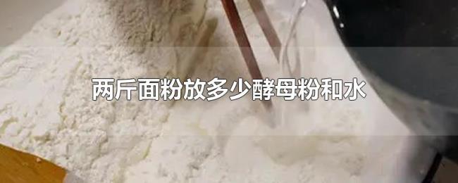 两斤面粉放多少酵母粉和水