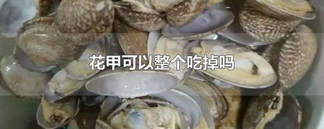 花甲可以整个吃掉吗 花甲可以整个吃掉吗
