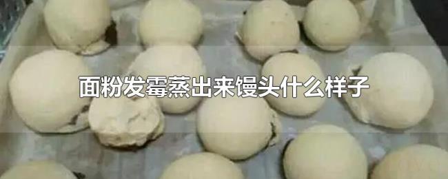 面粉发霉蒸出来馒头什么样子 面粉发霉蒸出来馒头什么样子