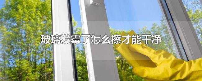 玻璃发霉了怎么擦才能干净