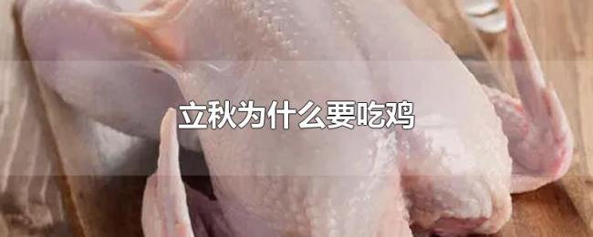 立秋为什么要吃鸡