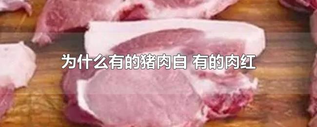 为什么有的猪肉白(有的肉红) 为什么有的猪肉白(有的肉红)