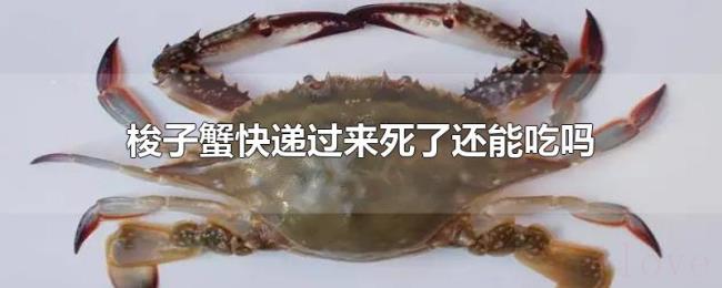 梭子蟹快递过来死了还能吃吗